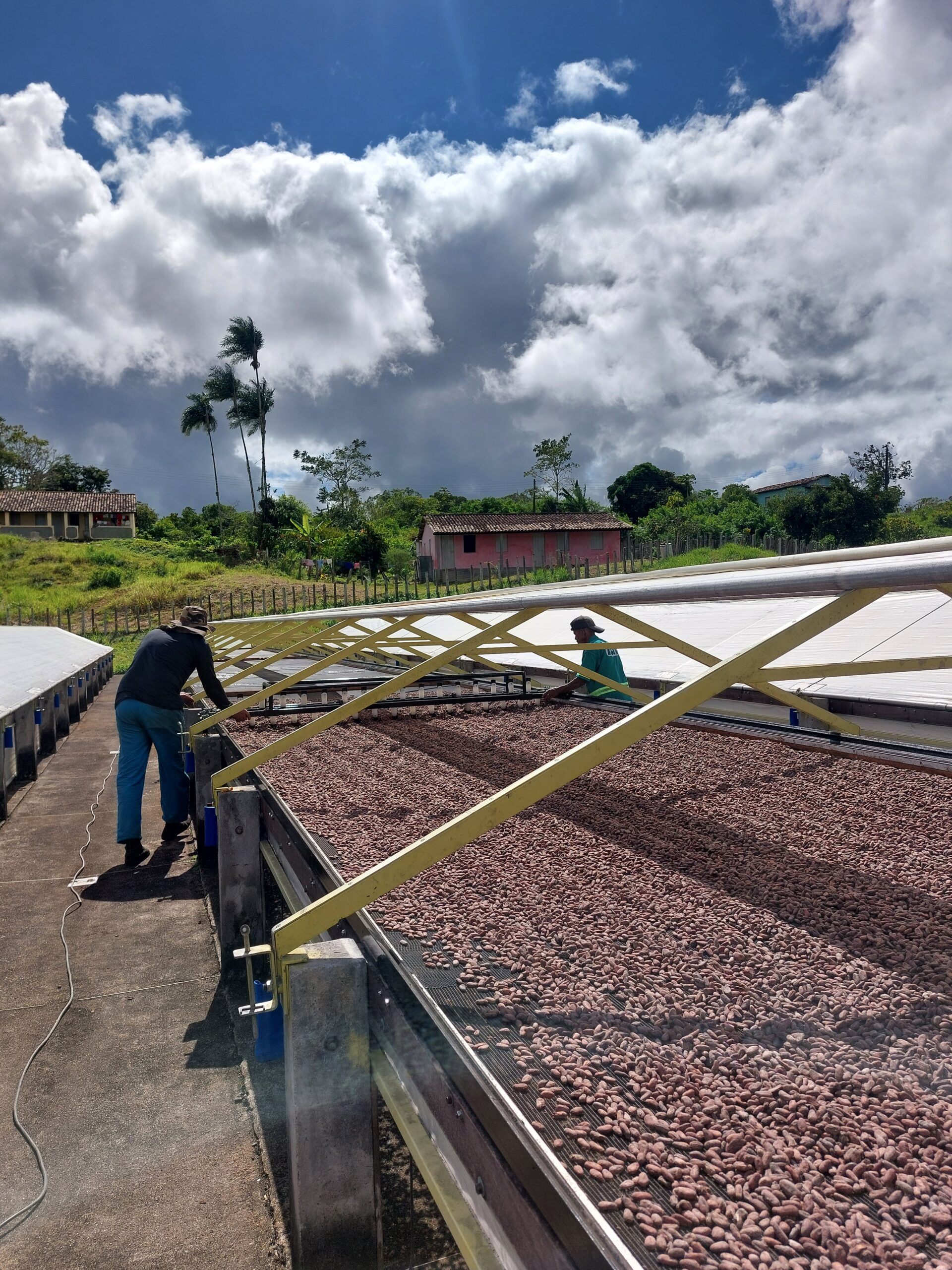 Origines : tables de séchage